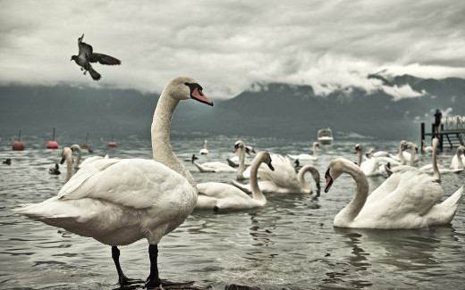 532421 (a): :2560x1600